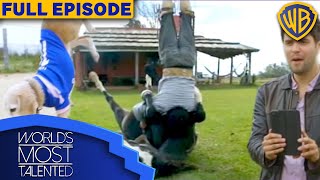 World's Most Talented Episode 4: Japan vs. Argentina | Warner Bros. TV