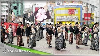 【4K】なな丸隊｜ナナイロ（東京よさこい2015 前夜祭）