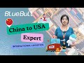 Blue Bull International Logistics: Leader Shipping Agency of China-US Transportation