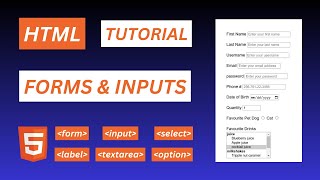 07. Learn HTML Forms and Inputs 📋: HTML Tutorial for Beginners