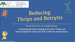 Botrytis Part 1: Scouting and Monitoring for Botrytis