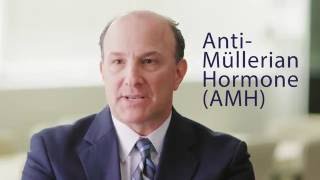 Anti Mullerian Hormone (AMH) Test | Dr. Spencer Richlin