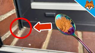 Sprinkle CINNAMON behind your Door and WATCH WHAT HAPPENS💥(Ssurprise)🤯
