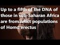 Some possible implications of the genetic differences between Europeans and sub-Saharan Africans