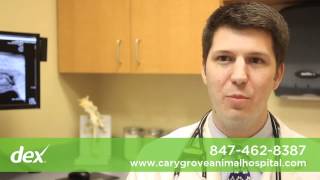 Cary Grove Animal Hospital