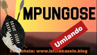 Umlando wabakwa-MPUNGOSE, The Mpungose Clan