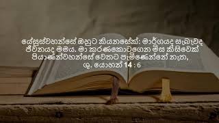 ශුද්ධ ලියවිල්ල තුළින් යේසුස් වහන්සේව හඳුනා ගනිමු