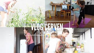 Vlog červen/červenec | kalorické tabulky | jóga | týden bez cukru | nové matrace | jsem koučka