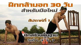 สร้างกล้ามอก 30 วัน สัปดาห์ที่ 1 โปรแกรมฝึกวันที่ 1,3,5,7 - SEEKER WORKOUT