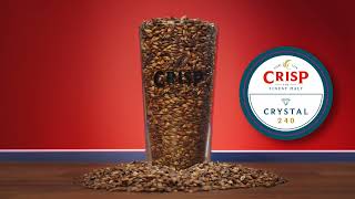 Crisp Malt - Medium Crystal 240 Malt - Malt Tasting Video