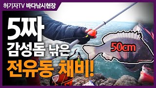 전유동으로 5짜! ... 쉽고 강력한 감성돔 낚시법 ... ‘전유동 견제조법’ 현장강의