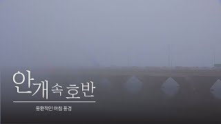 겨울비와 호반이 만들어낸 몽환적 풍경, 여기는 안개도시 춘천입니다