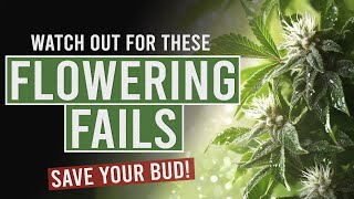 5 Major Flowering Fails You MUST Fix for a Better Harvest!