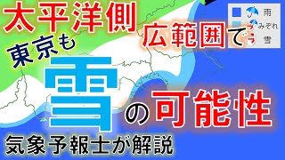 【関東でも雪!?】南岸低気圧で太平洋側の広範囲で雪の予想 気象予報士が解説 #気象予報士 #雪 #南岸低気圧 #東京 #2022