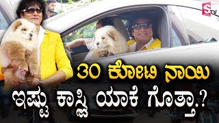 30 ಕೋಟಿ ನಾಯಿ.. ಇಷ್ಟು ಕಾಸ್ಟ್ಲಿ ಯಾಕೆ ಗೊತ್ತಾ..? | Worlds Most Expensive Dog In Bangalore | Kannada News