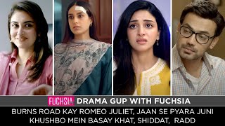 Burns Road Kay Romeo Juliet | Shiddat | Jaan Se Pyara Juni | Radd | KMBK | Drama