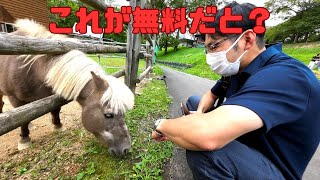 【北海道】これが無料の動物王国！芦別市旭ヶ丘公園！【迫力】