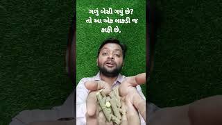 ગળું બેસી ગયું છે?તો આ લાકડી જ કાફી છે,@gujaratihealthtip#viral#health#shortsvideo#pain#gujarat