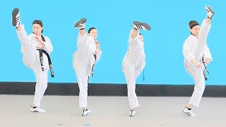 4 Basic Kicks for Taekwondo!