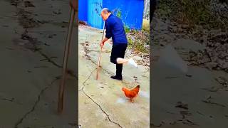 best Funny Animal Videos 2023 Best Funniest Videos Of The Month #funnydog #animal2023 #trynottolaugh