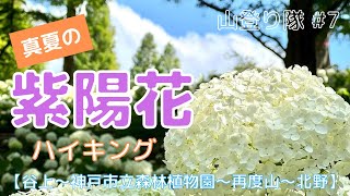 第７回山登り隊！【谷上〜神戸市立森林植物園〜再度公園〜再度山〜北野】