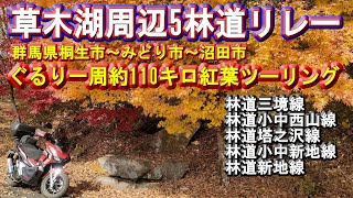 【草木湖周辺5林道リレー紅葉ツー】群馬県桐生市～みどり市～沼田市ぐるり一周約110キロ紅葉ツーリング(林道三境線・林道小中西山線・林道塔之沢線・林道小中新地線・ダート林道新地線)般若の滝・小中大滝