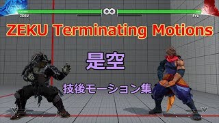 SFV:ZEKU Terminating Motions（是空：技後モーション集）