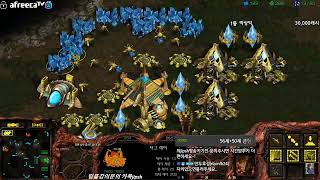 [스틱] 왜 저그 하드캐리1등인지 보여드리겠습니다!! 헌터스타팀플 TeamPlay StarCraft