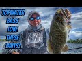 TOPWATER BASS LOVE THESE BAITS- New full length episode!