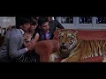 akshay brings a tiger in the house housefull movie scene