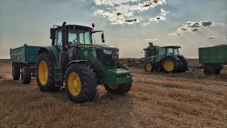 Vertical video | Recoltat Floarea Soarelui 2021 ~ John Deere W440 ~ John Deere 6195M ~ 6115Mc 🌻