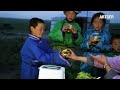 amazing mongolian offal foods compilation