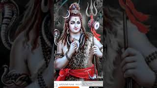 सुनै छलियई भोला बड़ दयालु - मैथिली शिव भजन | Kanwar Song | Maithili Shiv Song | Kunj Bihari