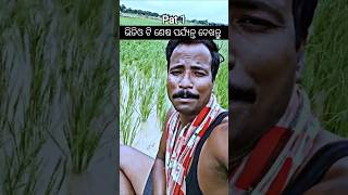 ବିଲ ଭିତରେ ପଖାଳ ଭାତ ଶୁଖୁଆପୋଡ଼ା 🥺😔 #trendingshorts #odiareels #2025shorts