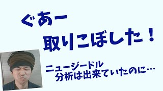 やっちまった！ニュージードル、分析はバッチリだったのに取りこぼしたｗ　2021 02 20