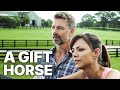 A Gift Horse | Family Movie | English Free Full Movie