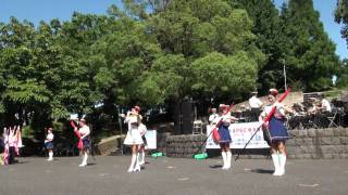 神奈川県警察音楽隊\u0026カラーガード : The Sound of Music Medley