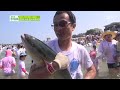 떠나요 오징어잡이 축제로 @생방송 투데이 140801