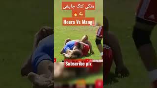 🔥Mangi Bagga Pind💪🔥 Vs Heera Butt #shortvideo