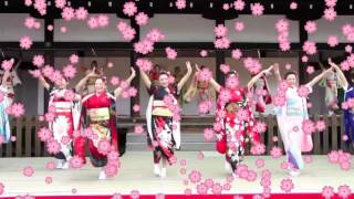 The Kimono Dance