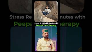 Stress Relief in 30 Minutes with Peepal Tree Therapy #ayurveda #ayurvedasecrets #shorts