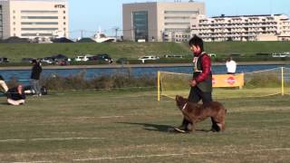 2012 秋季訓練競技大会　リズ　決定戦