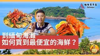 【最棒的海灘/最便宜的海鮮】到緬甸的海灘，如何買到最便宜的海鮮？