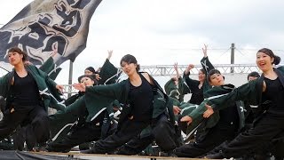 犬山踊芸祭2016 - 信州大学 和っしょい  「真道 - まことみち -」