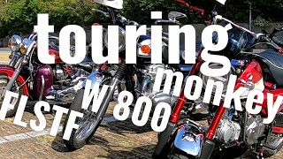 touring！W800 /MONKEY180/FLSTF 高茂岬　足摺宇和海国立公園