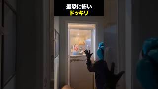 窓を割るほどの怖さw#海外の反応 #海外のリアクション #外国人 #おもしろ動画 #funnyshorts #爆笑動画 #foreign #笑える #バズった動画 #ドッキリ #funny #ホラー