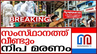 നിപ ബാധിച്ച് ചികിത്സയിലായിരുന്ന കുട്ടി മരിച്ചു  | NIPPA IN KERALAM | Nipa patient route map