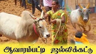 ஆவாரம்பட்டி ஜல்லிக்கட்டு.. aavarampatti jallikattu 2024