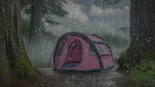 Fall Into Sleep In A Tent On Rainy Night | Heavy Rain On Tent Sounds In Forest