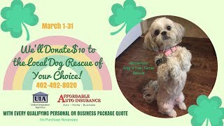 Omaha Independent Agents - Quotes for Canines